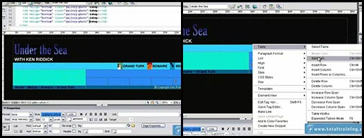 Click to launch the free Dreamweaver video tutorial from Total Training