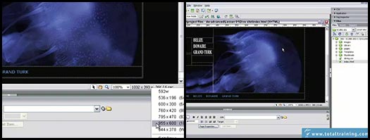 Click to launch the free Dreamweaver video tutorial from Total Training