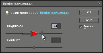 Contrast Tutorial - Working With Adjustment Layers In Elements 6 