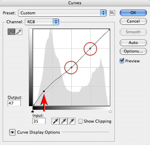 Contrast Tutorial - Working With Adjustment Layers In Elements 6 