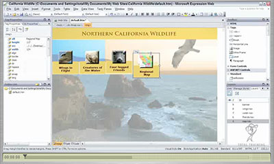 Click to launch the free Microsoft Expression Web video training tutorial from Total Training
