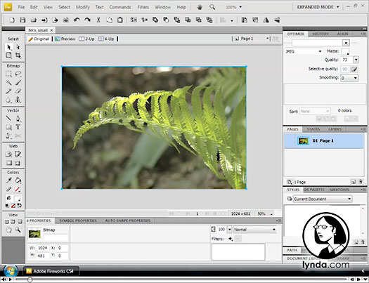 New Adobe Fireworks CS4 Interface Video