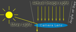 Digital Photography How-To: The Pros and Cons of Lens Flare