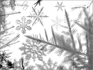 Free Snow Flakes Photoshop Brush Set - 10 Free Snow Images