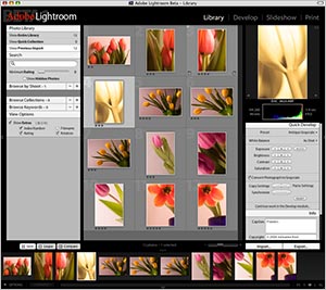 Take A First Look At Adobe's Lightroom