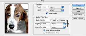 Adobe Photoshop Blog | PhotoshopSupport.com