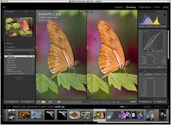 Lightroom Info - Adobe Debuts Photoshop Lightroom 1.0