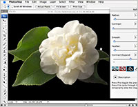 Free Photoshop CS3 Video Tutorials From Mark Galer