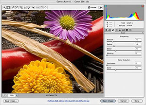 Adobe Photoshop Blog | PhotoshopSupport.com