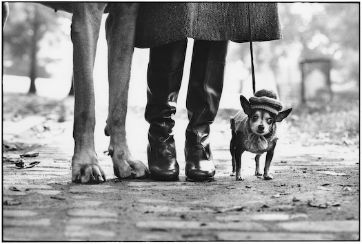 Elliott Erwitt Interview - New Book 'UNSEEN' Released