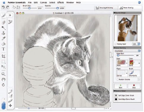 Corel Painter Essentials 4 - Create Paintings From Photos Or From Scratch