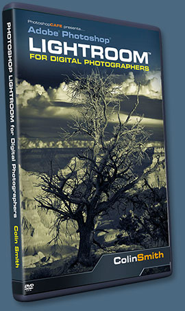 Lightroom For Digital Photographers - DVD Training Download