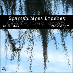 Photoshop Brushes From Stephanie