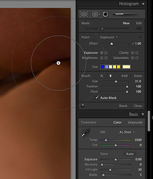 Adobe Photoshop Lightroom Version 1.1 Released