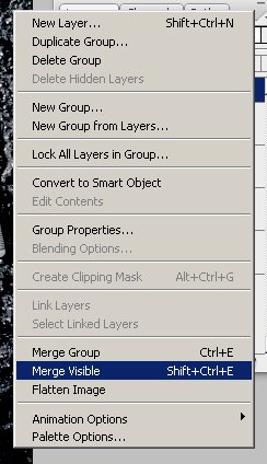Forensic Photoshop Tutorial - Merge Visible Layers