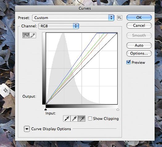 Forensic Photoshop Tutorial - Correcting Color Shifts