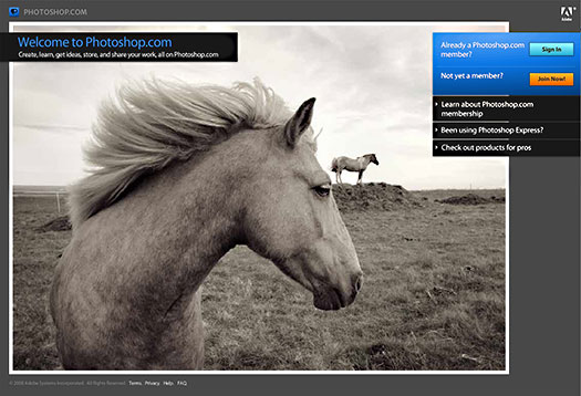 Photoshop com Accepting New Photoshop com Accepting New