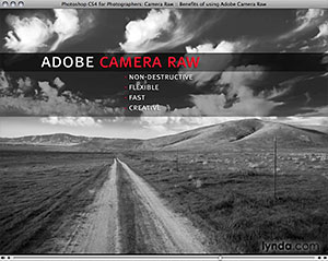 Photoshop CS4 for Photographers: Camera Raw From lynda.com - 13 Free Video Clips