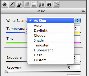 Camera Raw Tip - White Balancing in Adobe Camera RAW