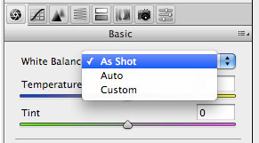 Camera Raw Tip - White Balancing in Adobe Camera RAW
