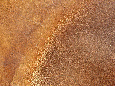 http://www.bittbox.com/freebies/free-texture-tuesday-leather/