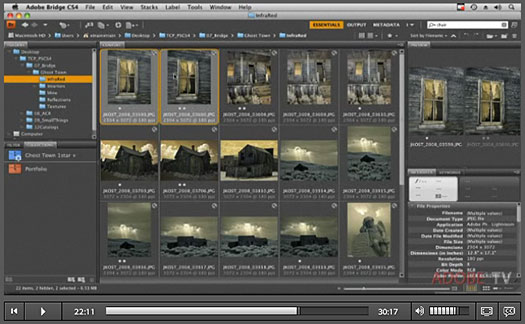 Adobe Bridge CS4 New Features - Video Tutorial