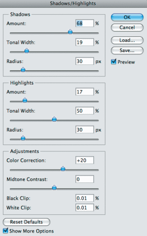 Reveal Image Details With Shadow/Highlight Adjustments In Photoshop - Photoshop CS4 Tutorial