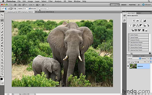 content aware tool photoshop cs5 video