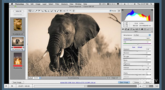 Photoshop CS5 And Photoshop CS5 Extented Tour Video