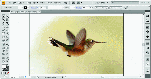 Adobe Illustrator Fundamentals: Drawing With Vectors - Illustrator Pen Tool Tutorial