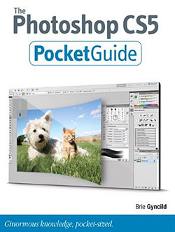 Photoshop CS5 Pocket Guide Book - Free Chapter - Making Corrections