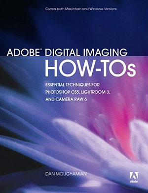 Adobe Digital Imaging How-Tos: 100 Essential Techniques for Photoshop CS5, Lightroom 3, and Camera Raw 6