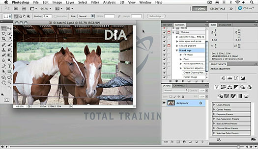 Free Video - Adobe Photoshop CS5 Advanced - Batch Processing Images