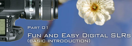 Canon SLR Tutorials - Digital Camera Lessons For Beignners