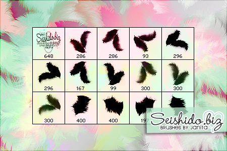 Free Photoshop Brushes From Janita - Fluffy Feathers