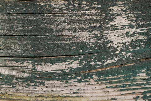 5 Free Cracked, Peeling Wood Textures - Plus Photoshop Tutorial Digital Diorama "Living Room" 