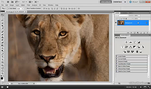 Photoshop Sharpening Power Workshop - 4 Free Videos