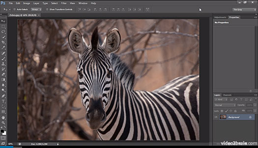 Photoshop Video Tutorial - Organizing Photoshop CS6 Panels