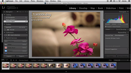 How To Get Started With Lightroom 5 - 10 Things Beginners Want To Know How To Do