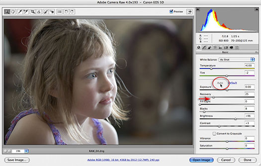 Kwijting Proportioneel combineren Adjusting Exposure in Adobe Camera Raw CS3 - Photoshop CS3 Tutorial - Mark  Galer | PhotoshopSupport.com