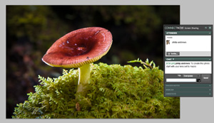 What's New In Adobe Photoshop CS4 - Photoshop 11