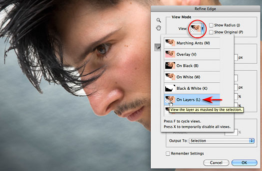 Refine Edge - Best New Feature in Photoshop CS5