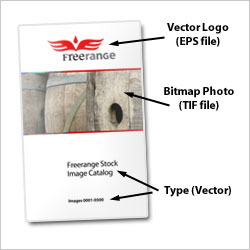 Vectors And Bitmaps - Guide To Photoshop Basics - SHOP TALK