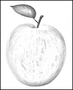 Adobe Photoshop tutorial - Turn A Photo Into A Sketch For Making Coloring Books